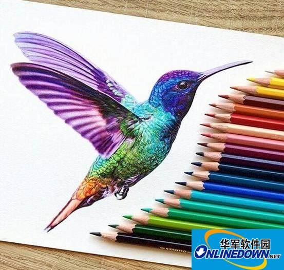 零基础彩铅入门基础教程,彩铅工具介绍,彩铅画法绘画详细过程