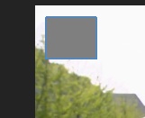 S.png