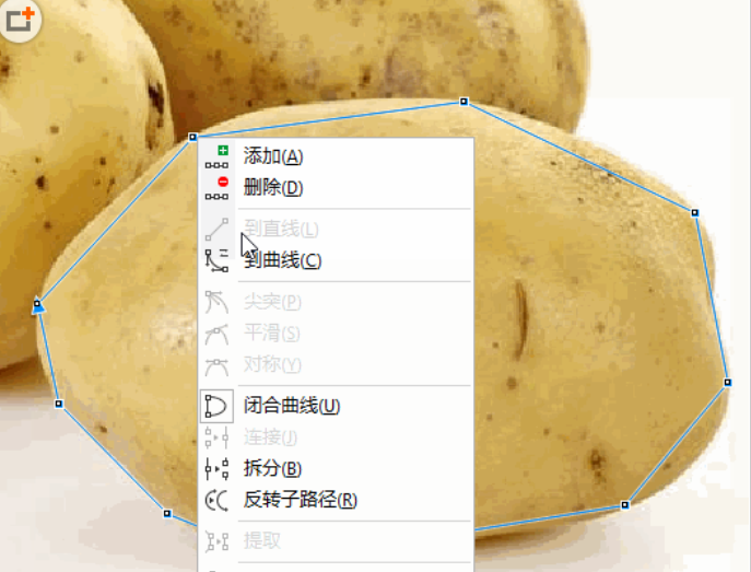 s1.png