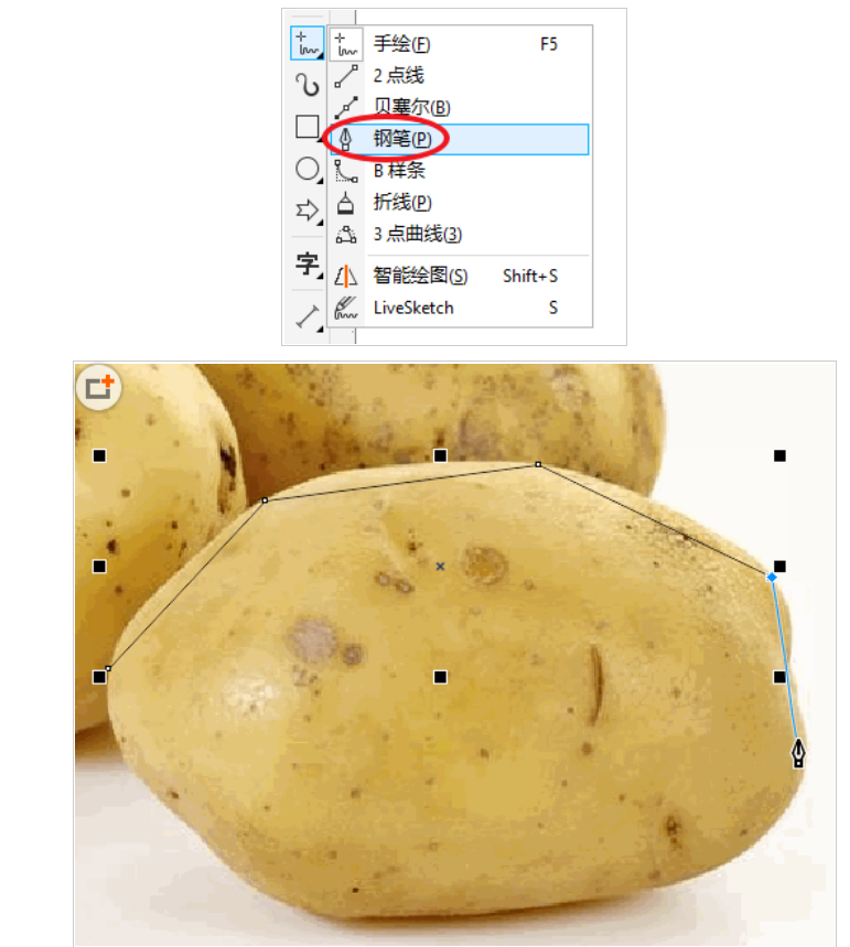 S.png