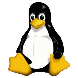 Linux FAT 文件系统预读缺陷：补丁提升 7 倍性能