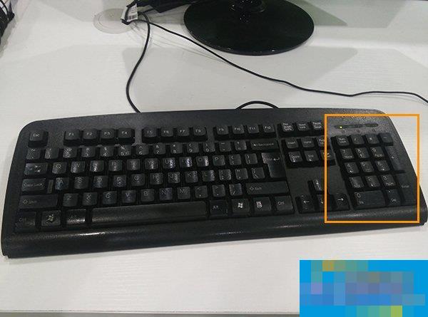 为什么数字键盘用不了？键盘右侧小键盘不能用怎么解决？