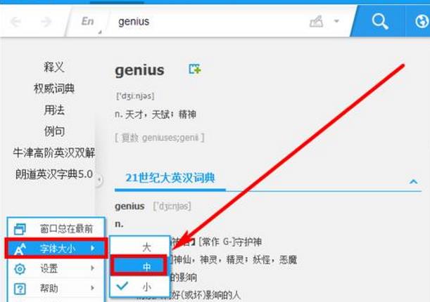 有道词典如何设置界面字体大小