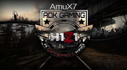 h1z1怎么玩？