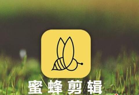 蜜蜂剪辑软件去掉视频水印的多种操作方式
