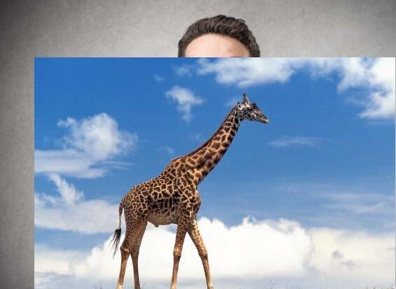 s.jpg