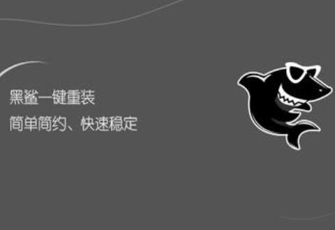 使用黑鲨装机大师一键在线重装系统的详细步骤