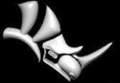 rhino中线、面进行挤压成体的操作方法