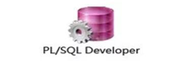 pl/sql developer如何设置成中文-pl/sql developer设置成中文的操作方法-华军软件园