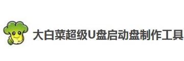 如何使用大白菜超级u盘启动制作工具给电脑安装win10系统-大白菜超级u盘启动制作工具教程