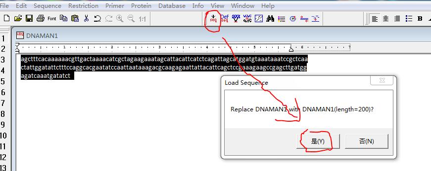 如何利用DNAMAN软件将碱基序列翻译成氨基酸序列