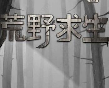 荒野求生截图1