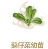 妄想山海鹅仔菜怎么做？鹅仔菜配方制作方法[多图]图片2