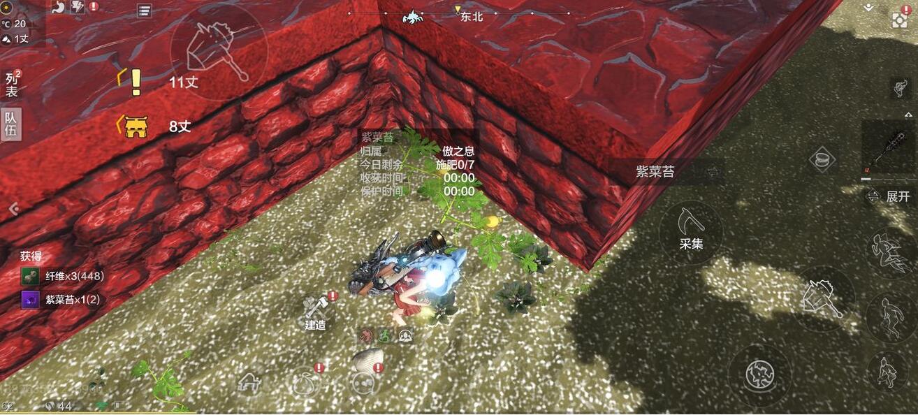 妄想山海高级菜怎么获得 妄想山海高级菜获取途径一览