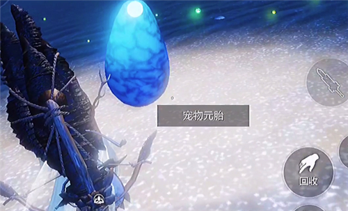 妄想山海宠物蛋在哪里捡