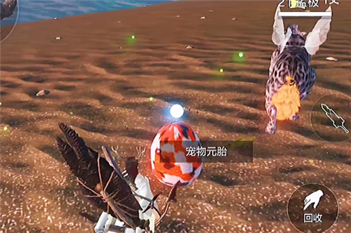 妄想山海宠物蛋在哪里捡