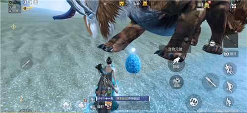 妄想山海宠物蛋在哪里捡