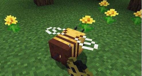 我的世界蜜蜂怎么养 我的世界养蜜蜂的技巧介绍 华军新闻网