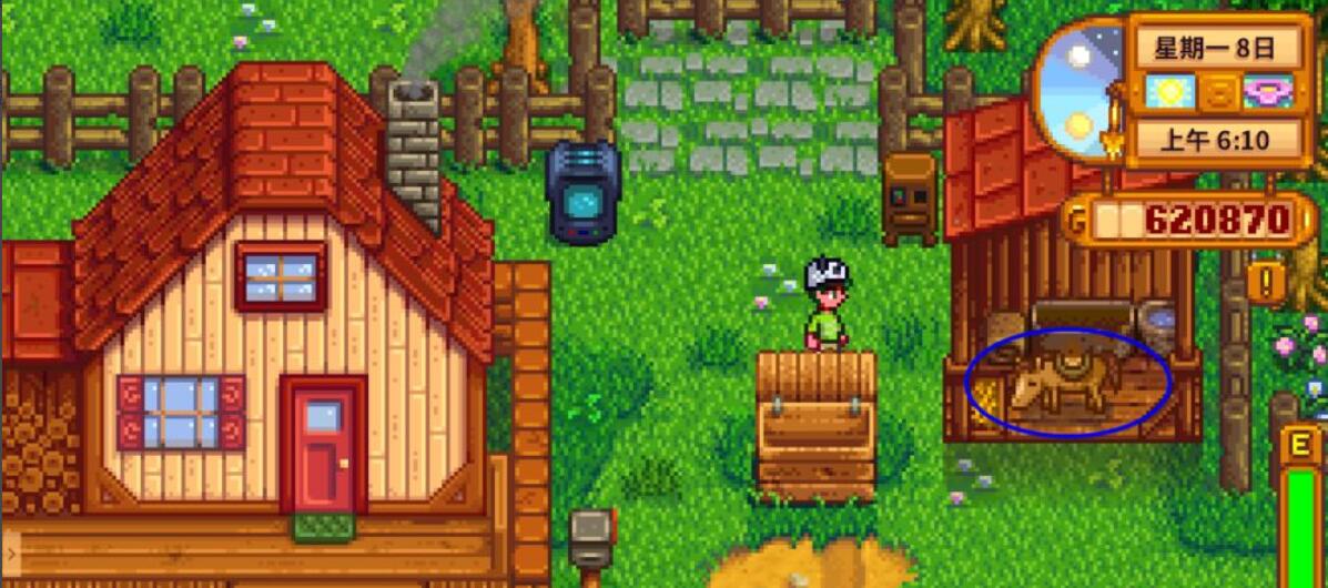 星露谷物语bug刷物品 星露谷物语冰淇淋bug