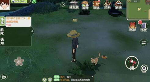 小森生活野猫怎么领养成家猫