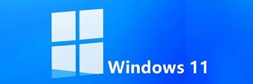 Windows11中怎样关闭透明度-Windows11中关闭透明度的方法