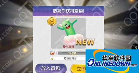 天天风之旅受气豆豆怎么样?受气豆豆值得买吗