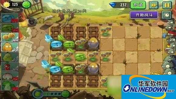 植物大战僵尸2功夫世界第30天如何打败僵王？