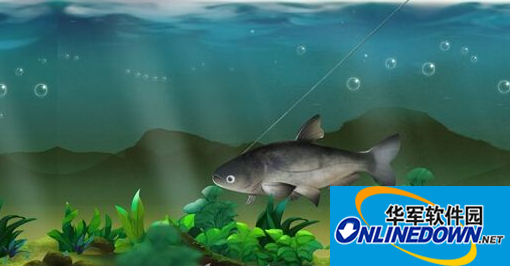 侠客风云传哪个钓鱼位置好？