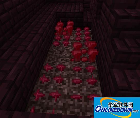 我的世界1.62地狱疣有什么用？我的世界1.62地狱疣怎么获得？