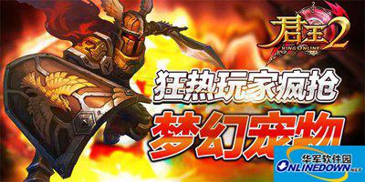 君王2狂热玩家疯抢梦幻宠物