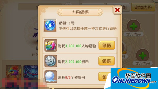 梦幻西游宠物内丹怎么用