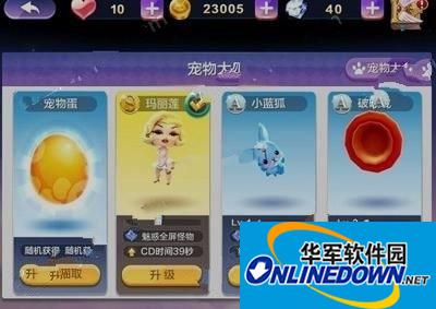天天风之旅S级神宠玛丽莲曝光