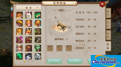 问道手游宠物野狗解析