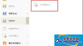 wps2016打开的pdf怎么打印预览?