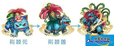 去吧皮卡丘攻略：荆棘花属性详解