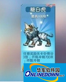 超前体验！天天酷跑坐骑分析糖白虎刷分攻略