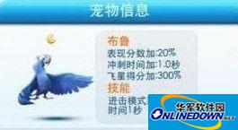 天天酷跑宠物哪个好：布鲁与爱丽丝兔篇