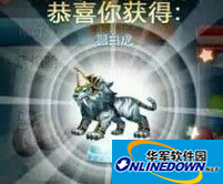 天天酷跑积分抽奖百抽百中攻略之永久坐骑