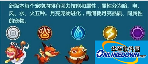 全民飞机大战宠物选择攻略大全