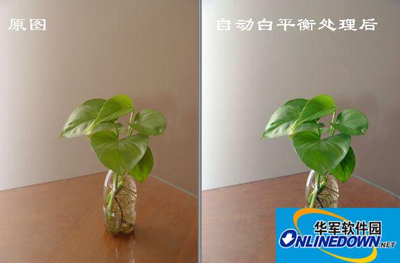 光影魔术手白平衡校正的方法介绍