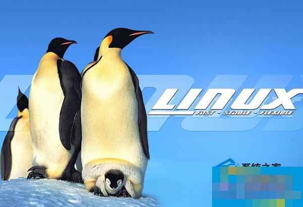 Linux vsftp中提示530 Permission denied怎么办？