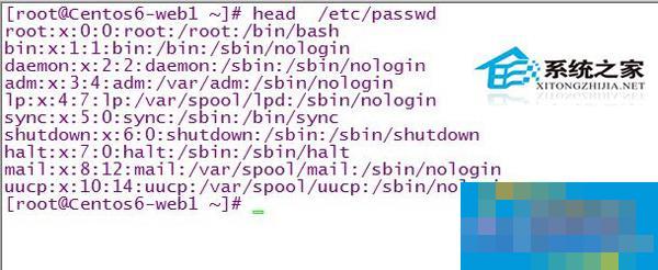 Linux中使用cut命令来提取文本的用法指南