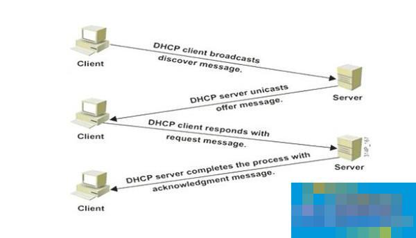 DHCP是什么意思